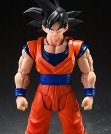 S.H.Figuarts Son Goku (Kind-hearted Saiyan) (Completed)
